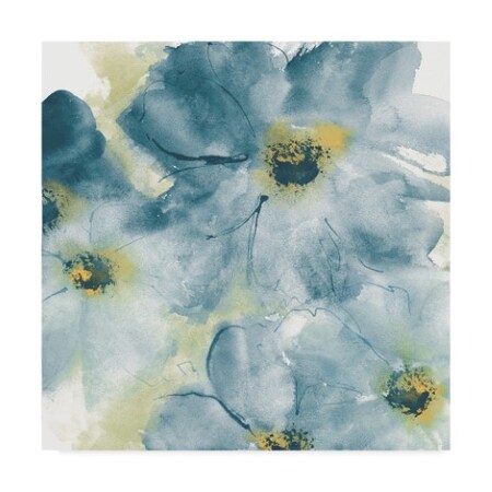 Trademark Fine Art Chris Paschke 'Seashell Cosmos I Blue And Yellow' Canvas Art, 24x24 WAP05839-C2424GG